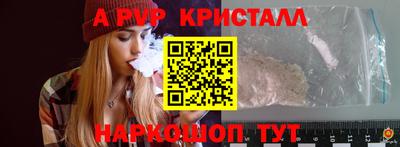 шишки Камышлов