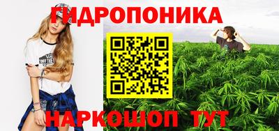 ПСИЛОЦИБИНОВЫЕ ГРИБЫ Канаш