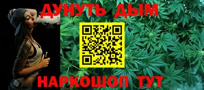 шишки Камышлов
